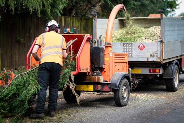 Best Weed Control  in Los Altos, CA